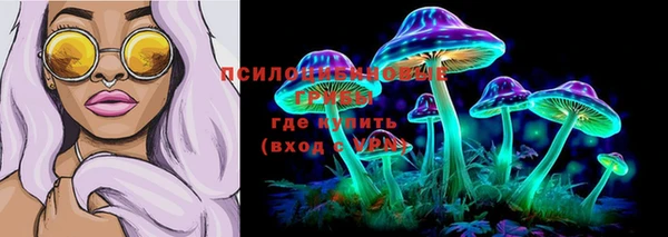 индика Дмитриев