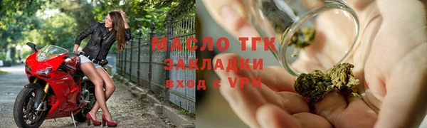 индика Дмитриев