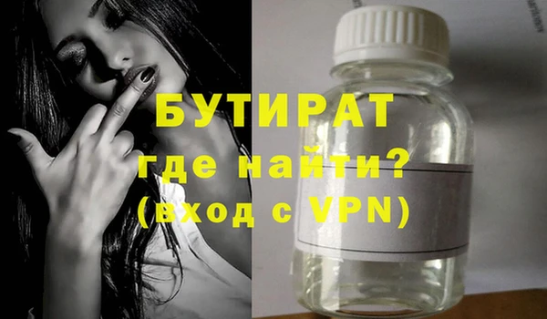индика Дмитриев