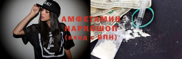 индика Дмитриев