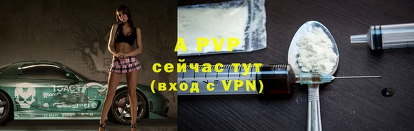 индика Дмитриев