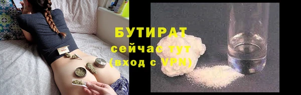 индика Дмитриев