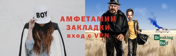 индика Дмитриев