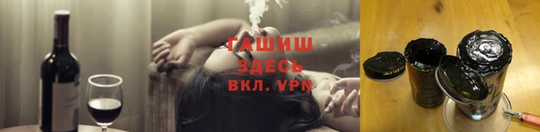 индика Дмитриев