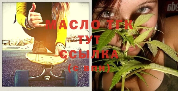 индика Дмитриев