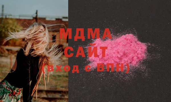 индика Дмитриев