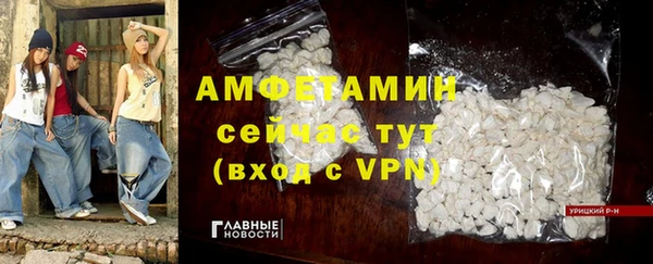 индика Дмитриев