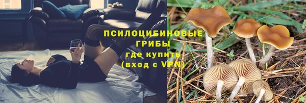 кокаин Гусев