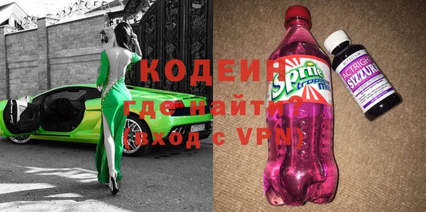 индика Дмитриев